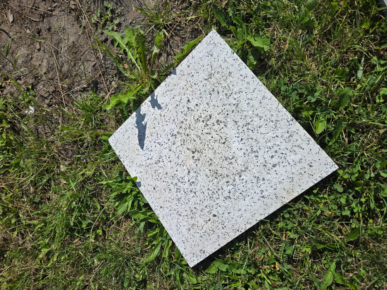Billede 1 - Hvide udendørs fliser