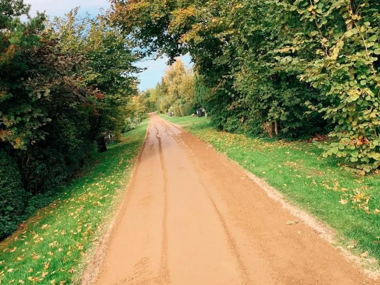 Billede 1 - Grusveje - Støvbinding - velligeholdelse