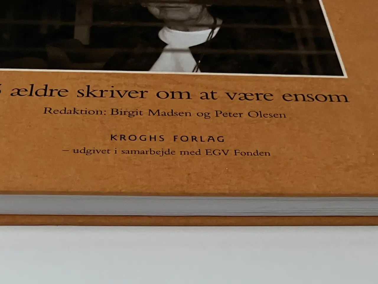Billede 9 - Ældre om ensomhed - 25 ældre skriver om at være en