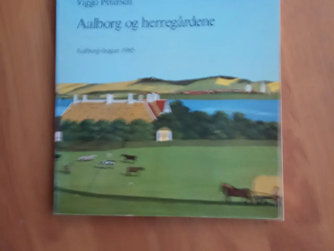 Billede 1 -  Aalborg-bogen 1985 - Aalborg og herregårdene