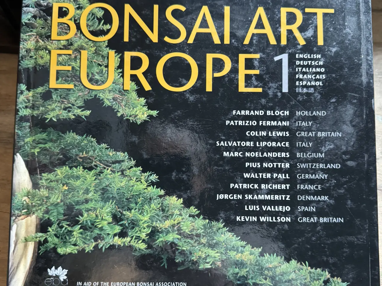 Billede 1 - Bonsai bøger Hugning i sten Japansk home