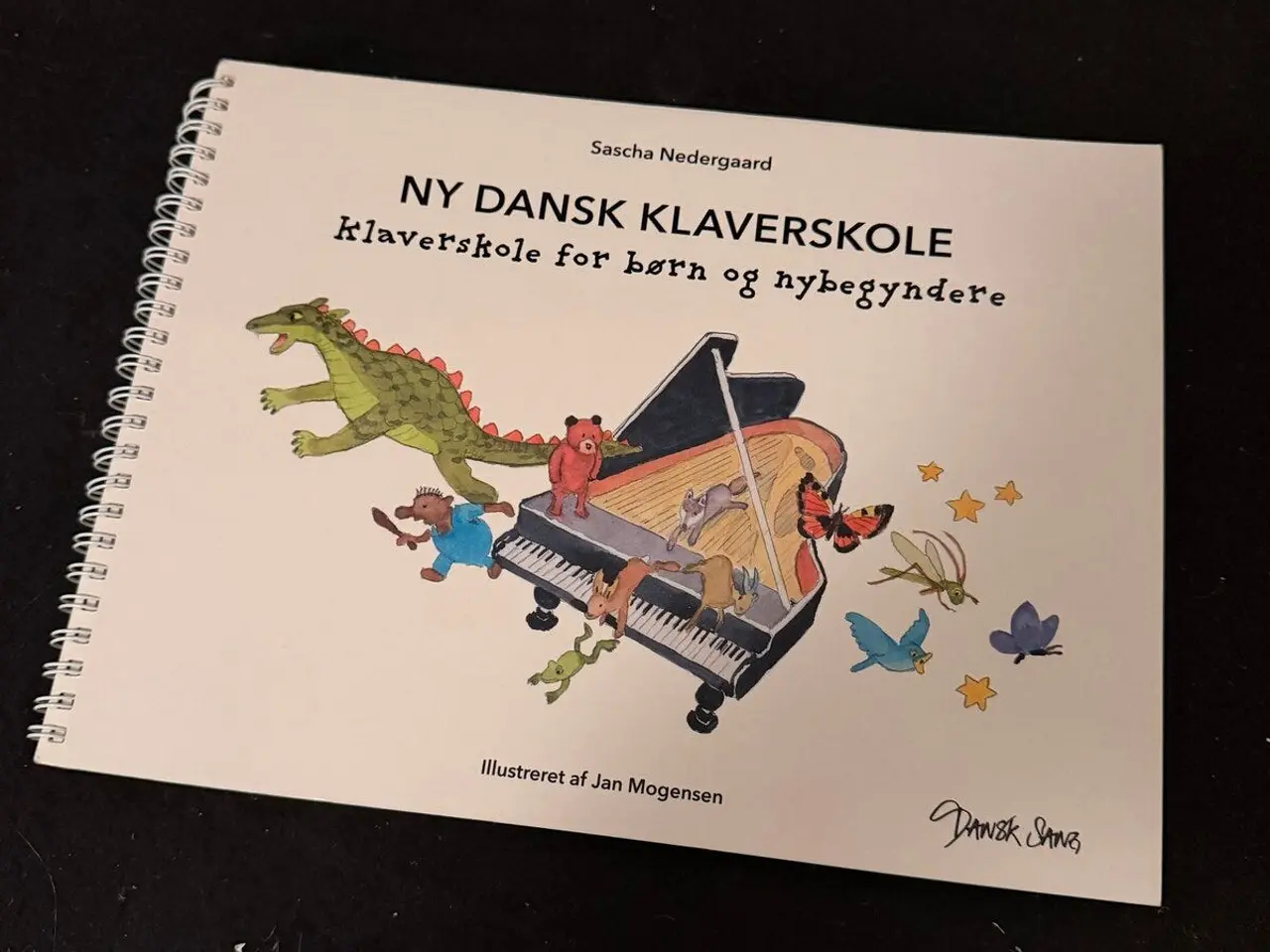 Billede 1 - Ny Dansk Klaverskole – Sascha Nedergaard