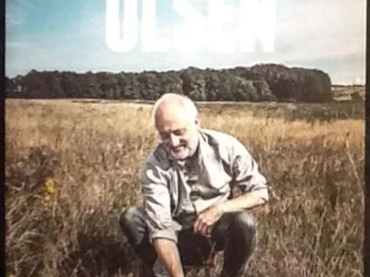 Billede 1 - Allan Olsen: Tilfældigt strejfet
