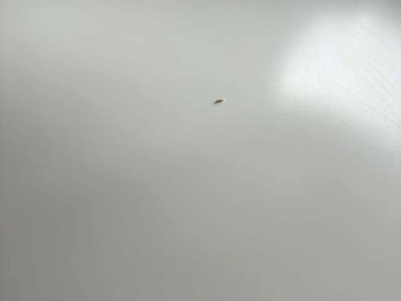 Billede 4 - Ikea sofabord