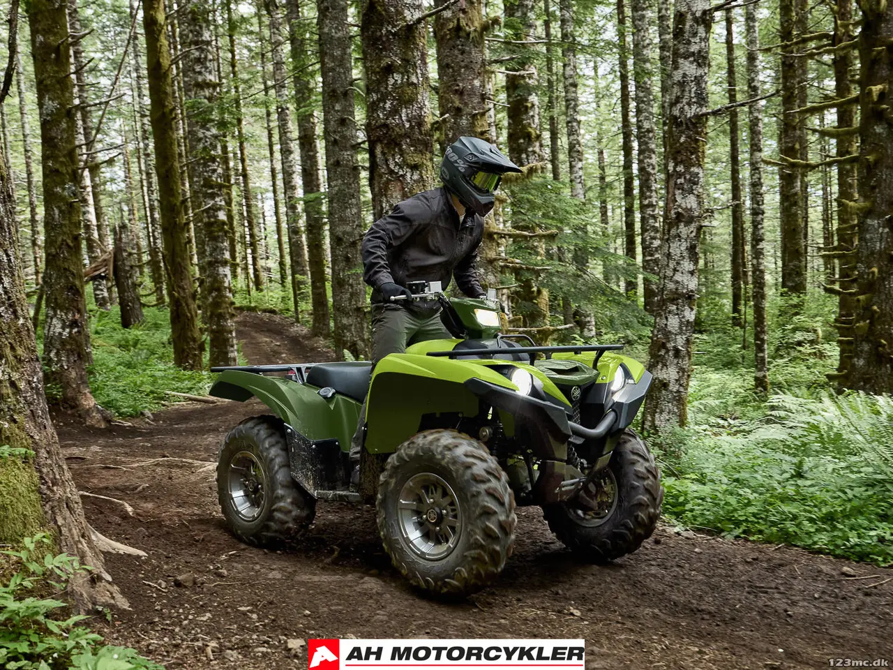 Billede 11 - Yamaha Grizzly 700 EPS Traktor
