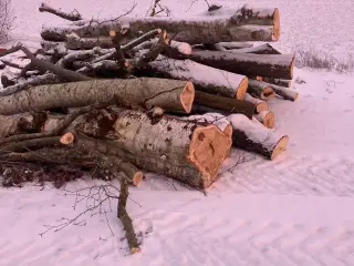 Brænde ask, eg, el og birk