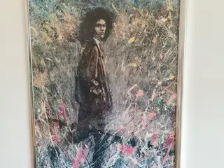 Trampedach indrammet plakat 101*141 cm