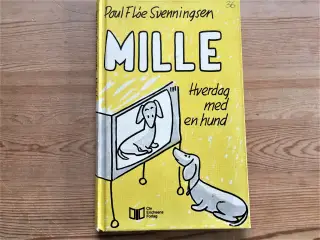 MILLE, Hverdag med en hund