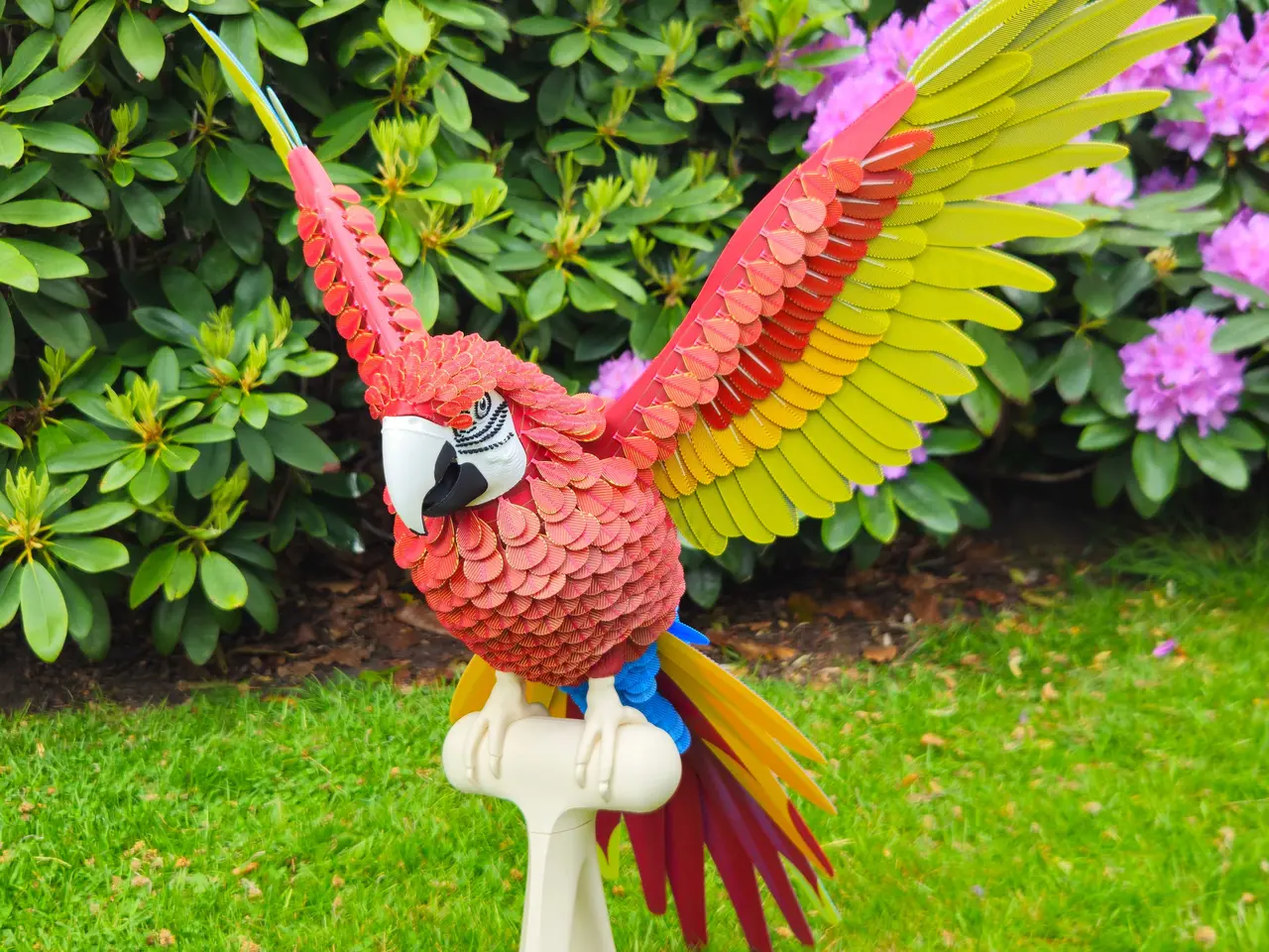 Billede 1 - Macaw (Ara) 3D printet - 60cm