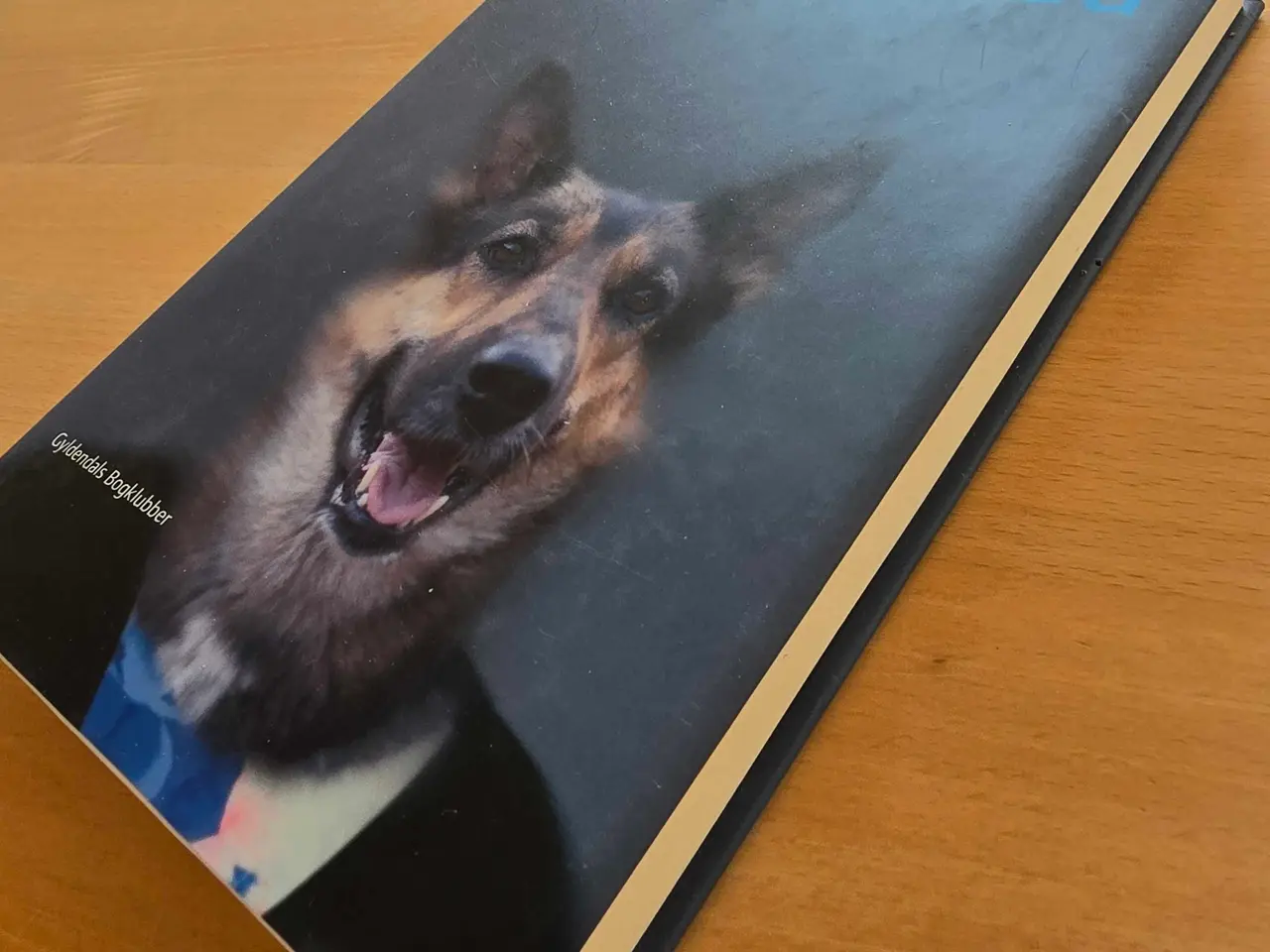 Billede 2 - Bog af Morten Ramsland - Hundehoved