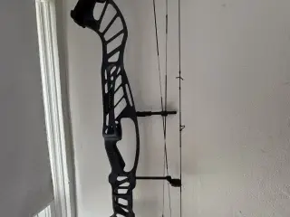 Hoyt Invicta 40 compoundbue
