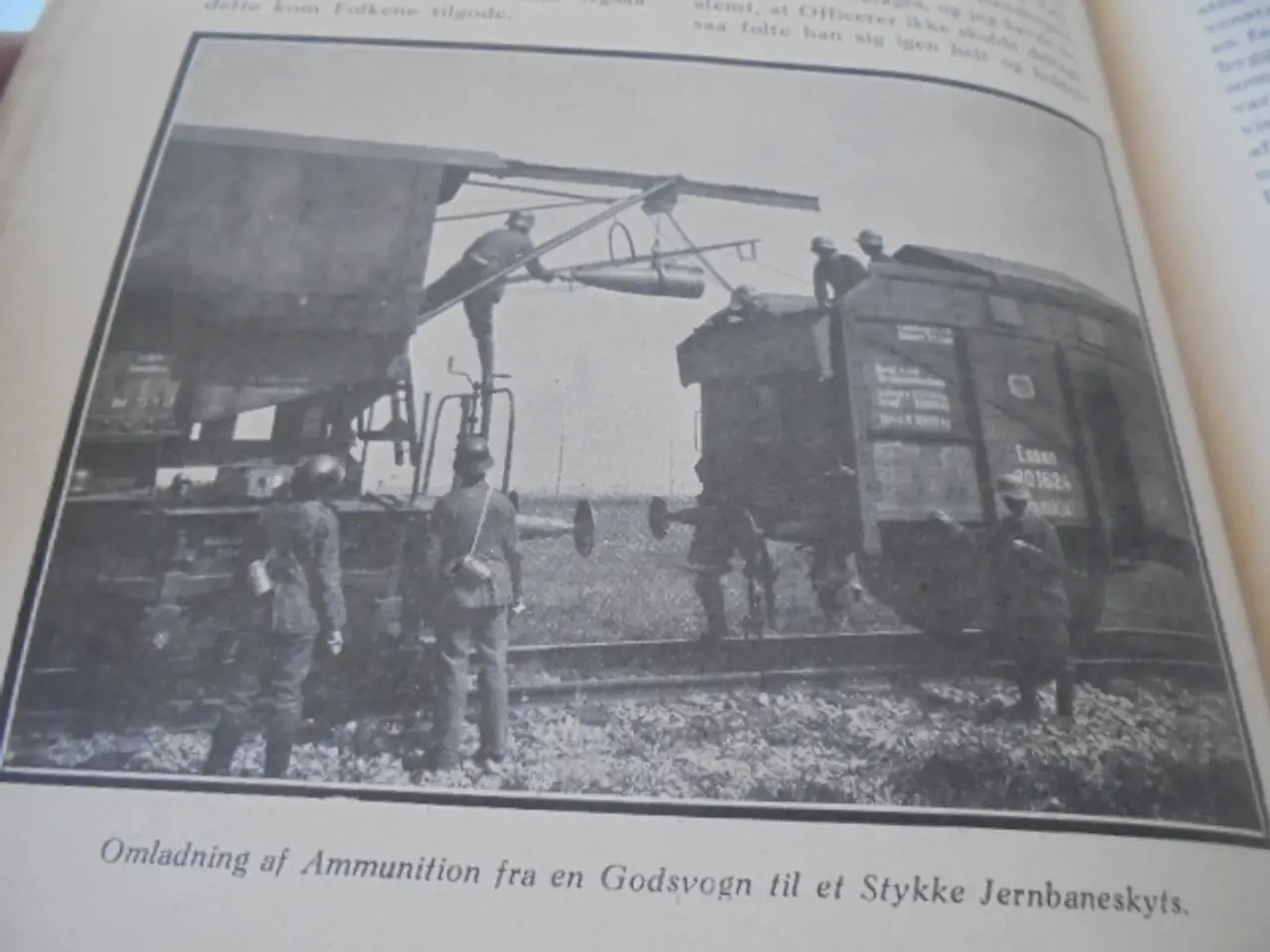 Billede 10 - VERDENSKRIGEN – 13de bind – 1918