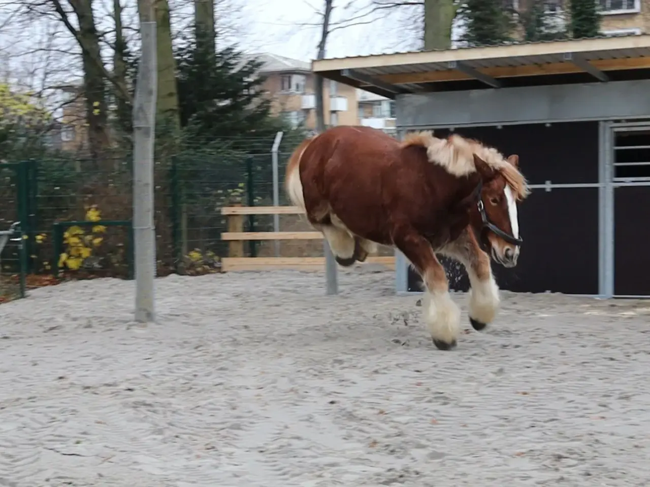 Billede 3 - FLEXI BOKSE UDESTALDE