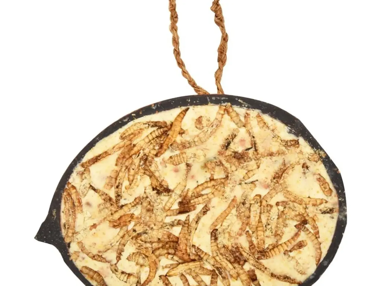 Billede 6 - Fuglefoder - 10 fyldte halve kokosnødder, 290 g