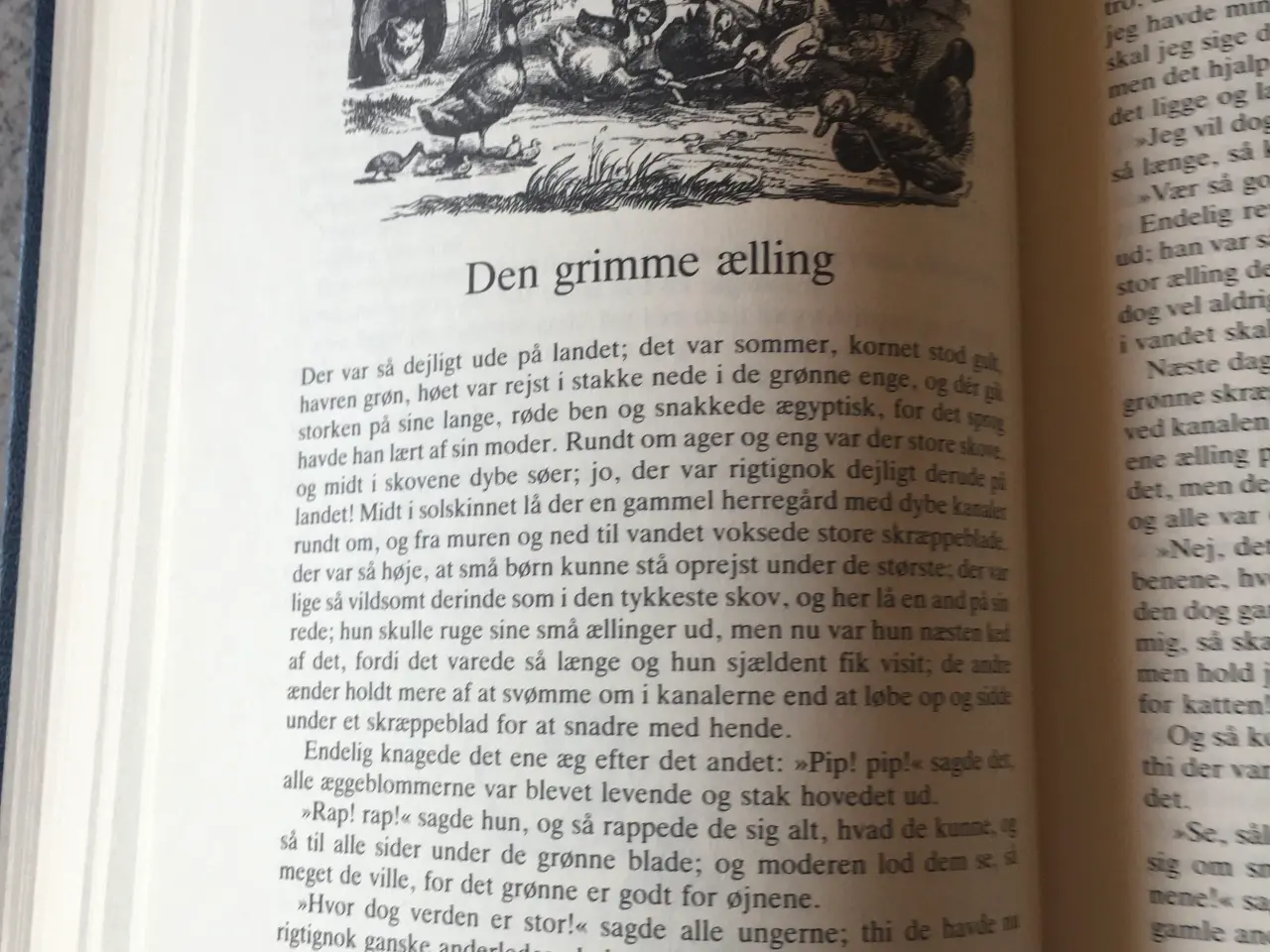 Billede 8 - 200 års jubilæumsbog 81 eventyr H.C.Andersen 