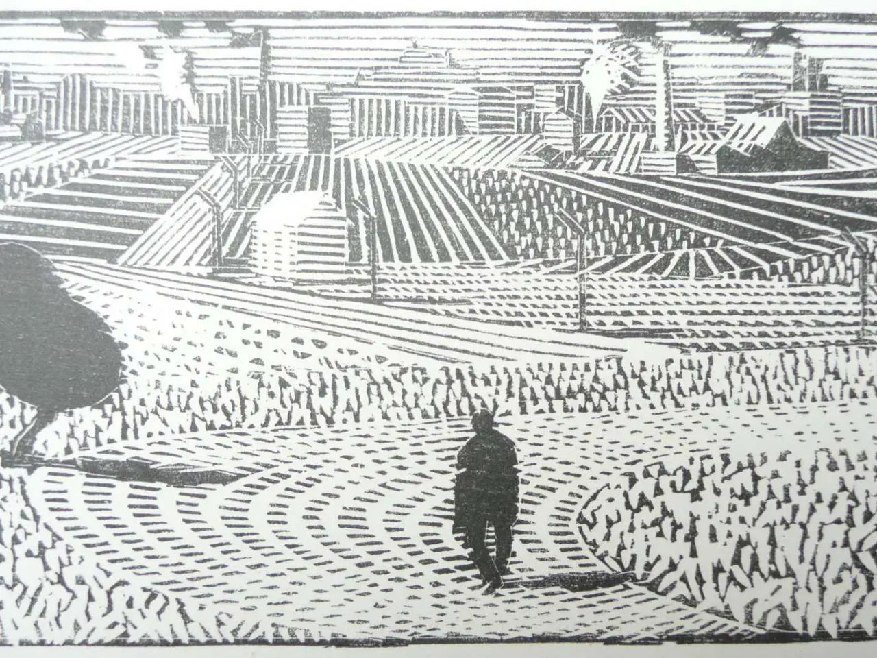 Billede 5 - Palle Nielsen