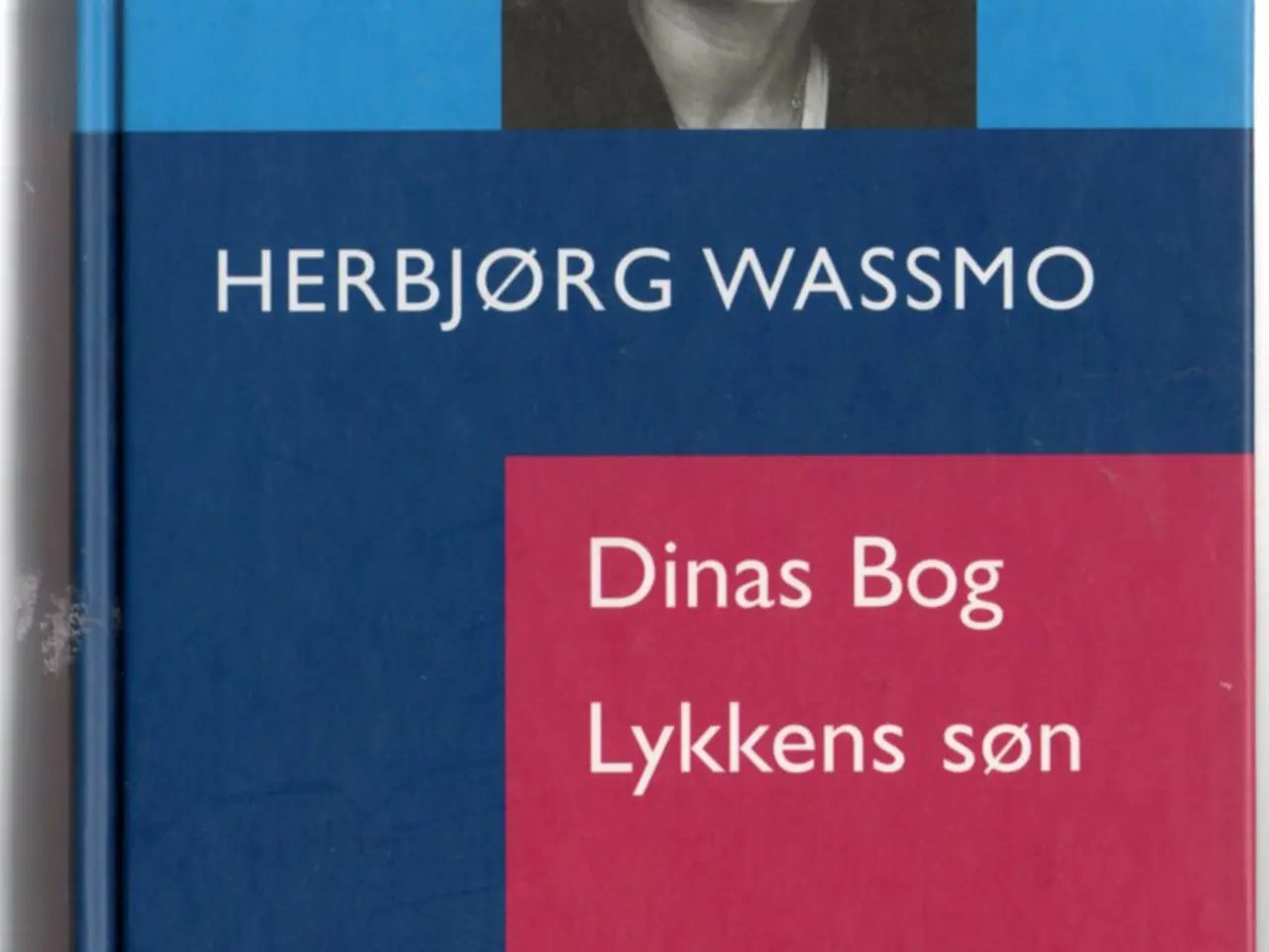 Billede 1 - Dinas Bog - Lykkens Søn - Herbjørn Wassmo - L&R