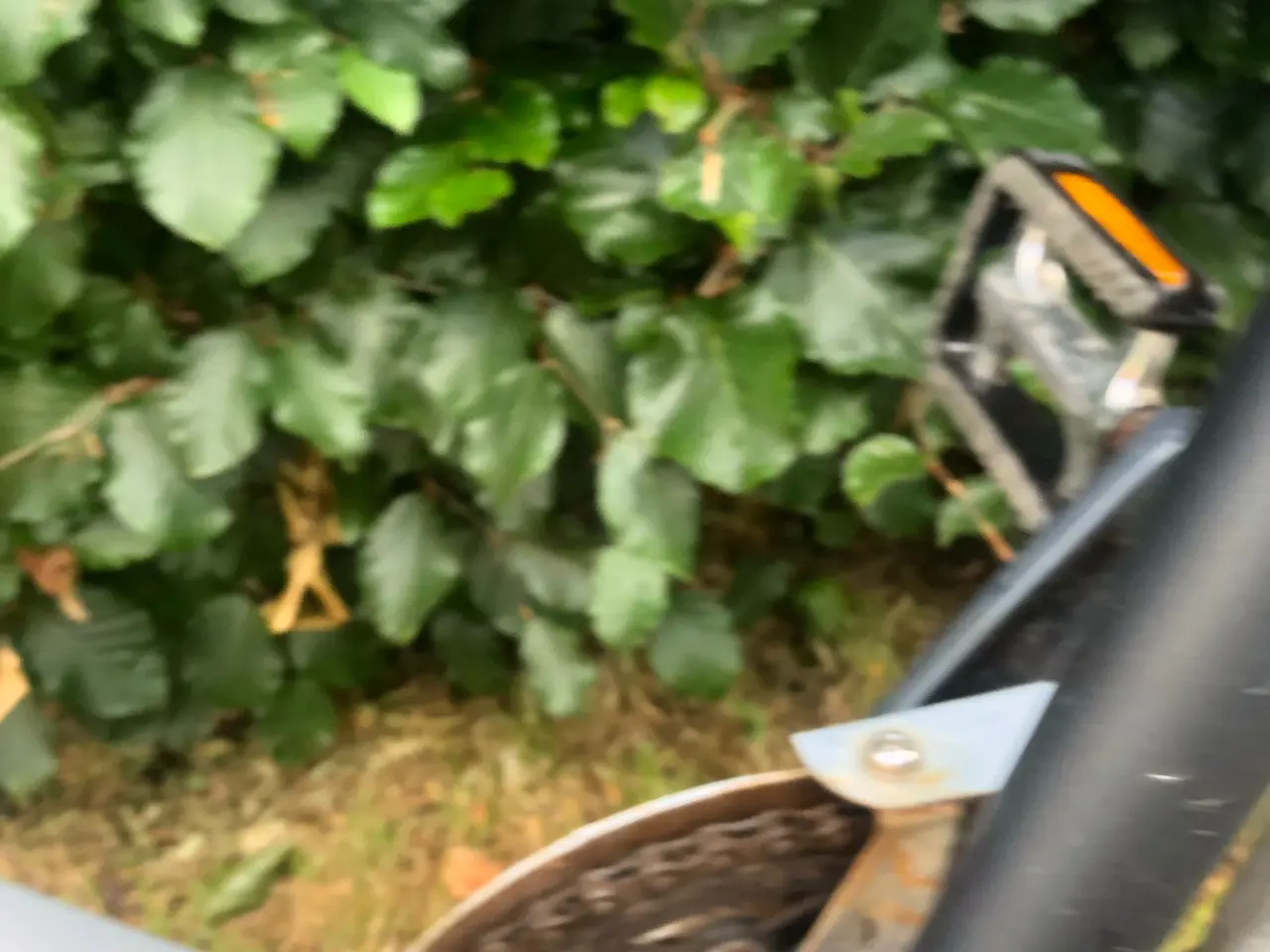 Billede 5 - 28 Batavus herrecykel med 7.gear