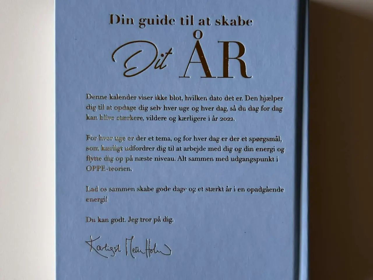 Billede 2 - Mit år 2022, Mette Holm