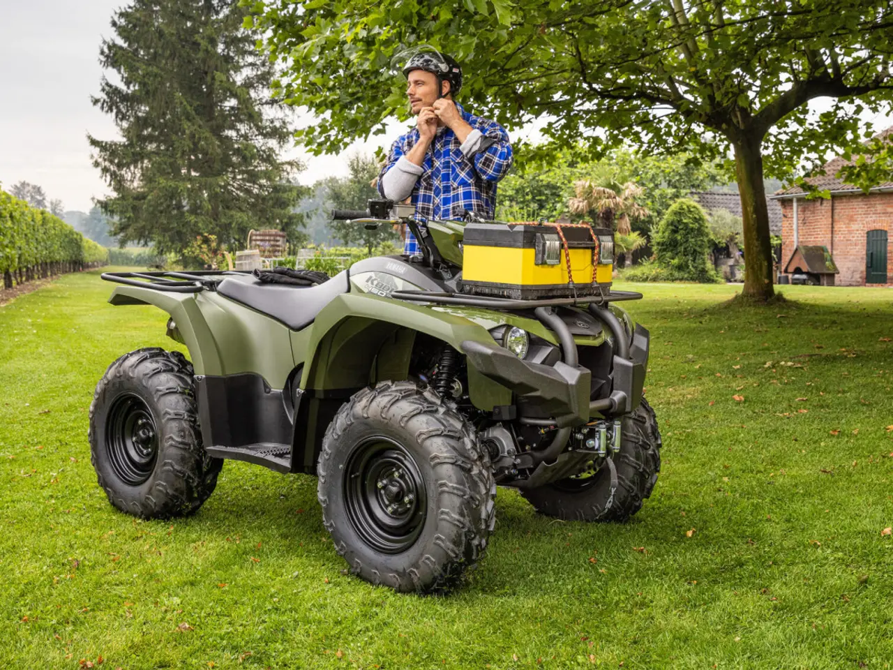Billede 6 - Yamaha Kodiak 450 EPS Diff-lock Traktor