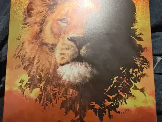 Løvernes Konge (2019) – Eksklusiv Steelbook