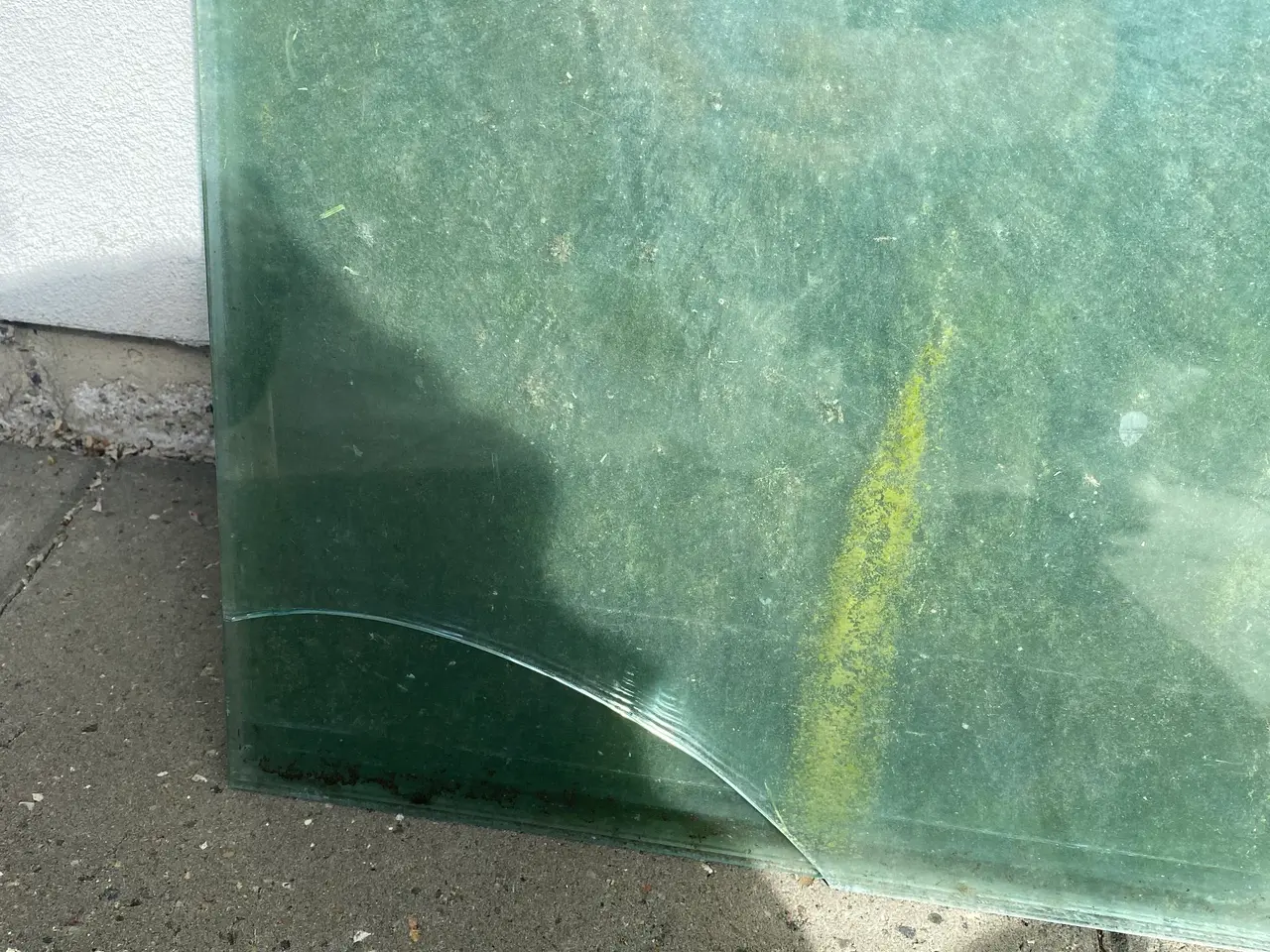 Billede 4 - Drivhus glas