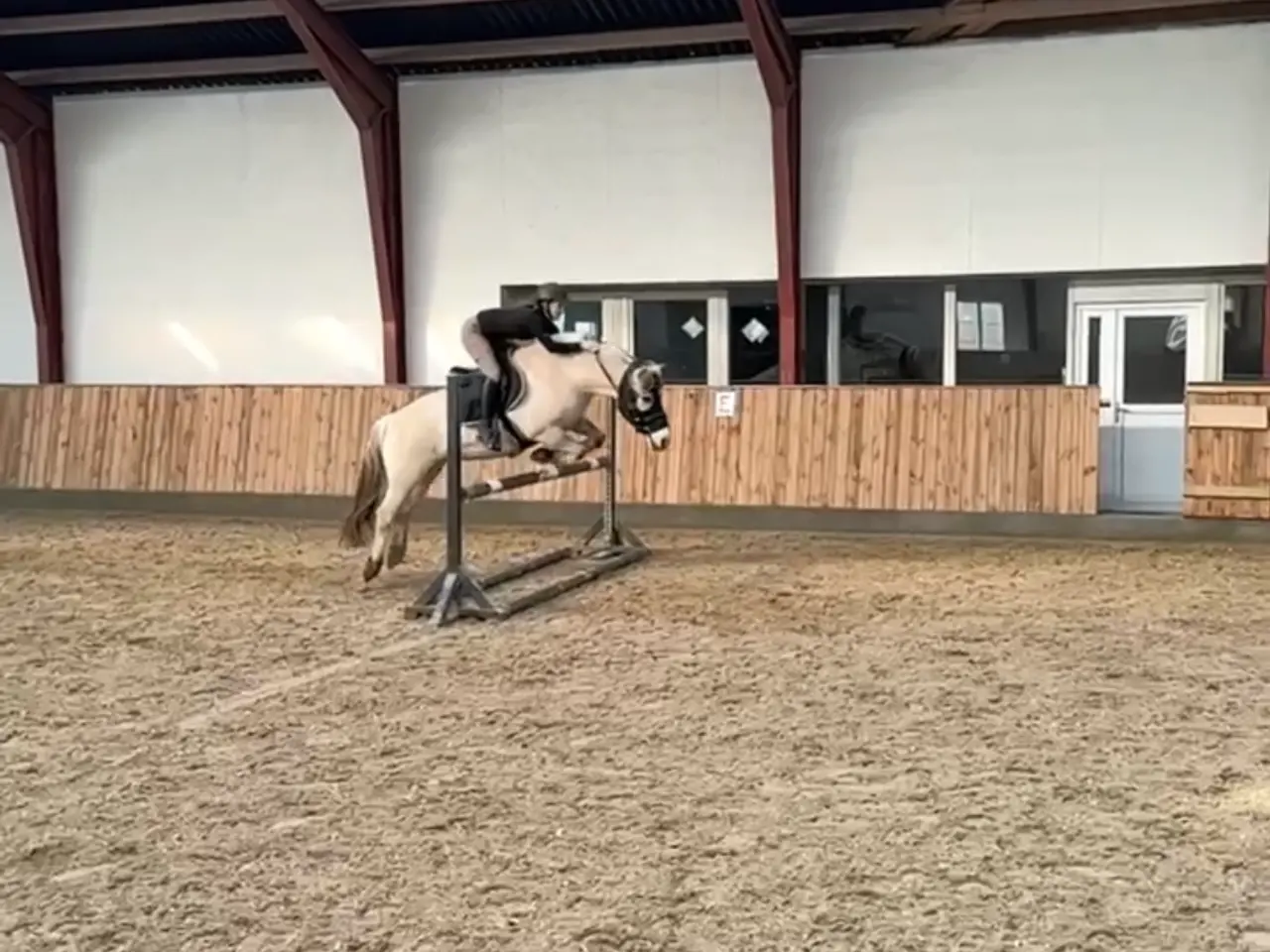 Billede 4 - Tilridening ridening massage kårring