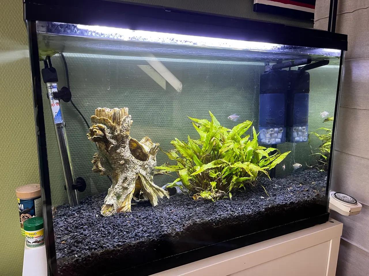 Billede 3 - Akvarium med LED-lys, pumpe, planter, fisk, rejer 