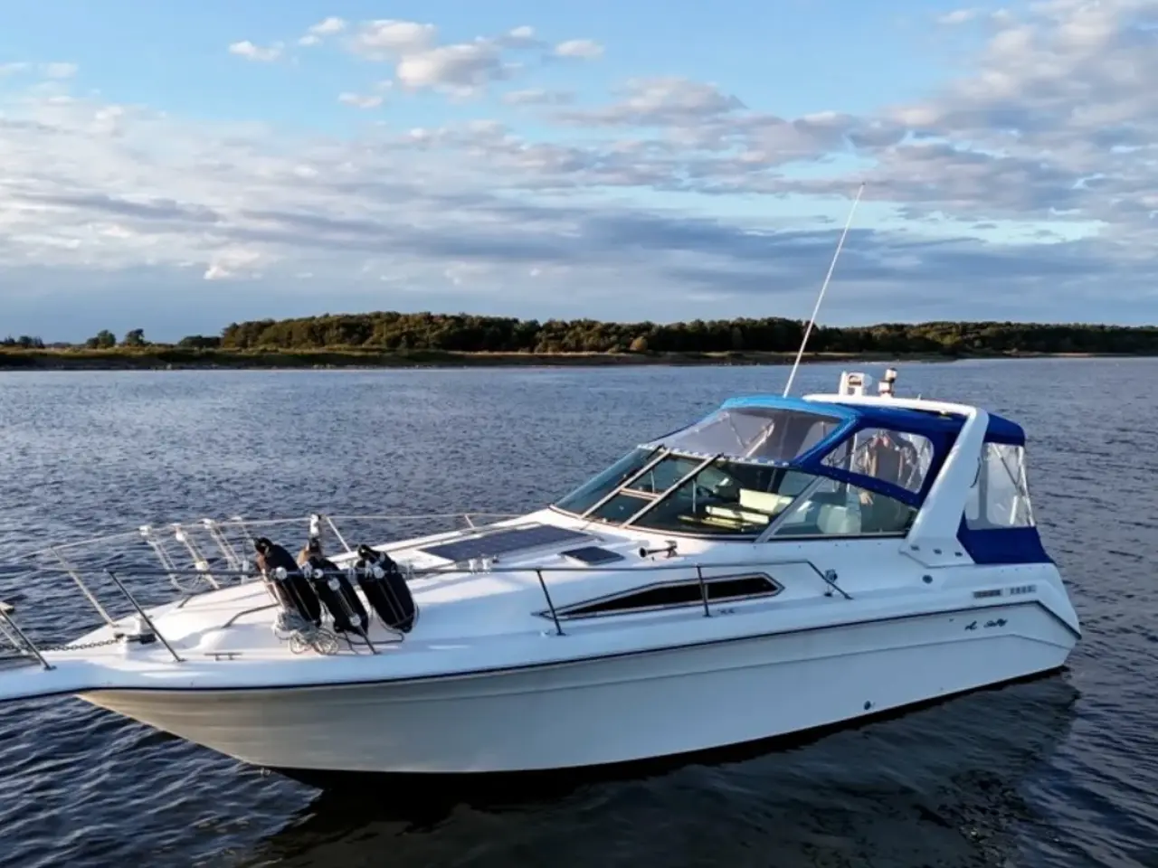Billede 3 - Sea Ray Sundancer 290 - Meget båd for pengene!