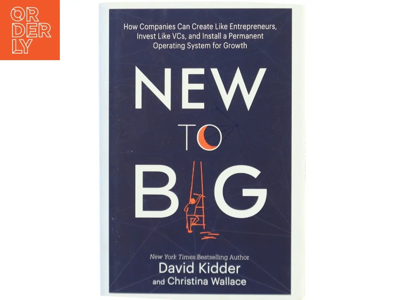 Billede 1 - New to Big af David Kidder, Christina Wallace (Bog)