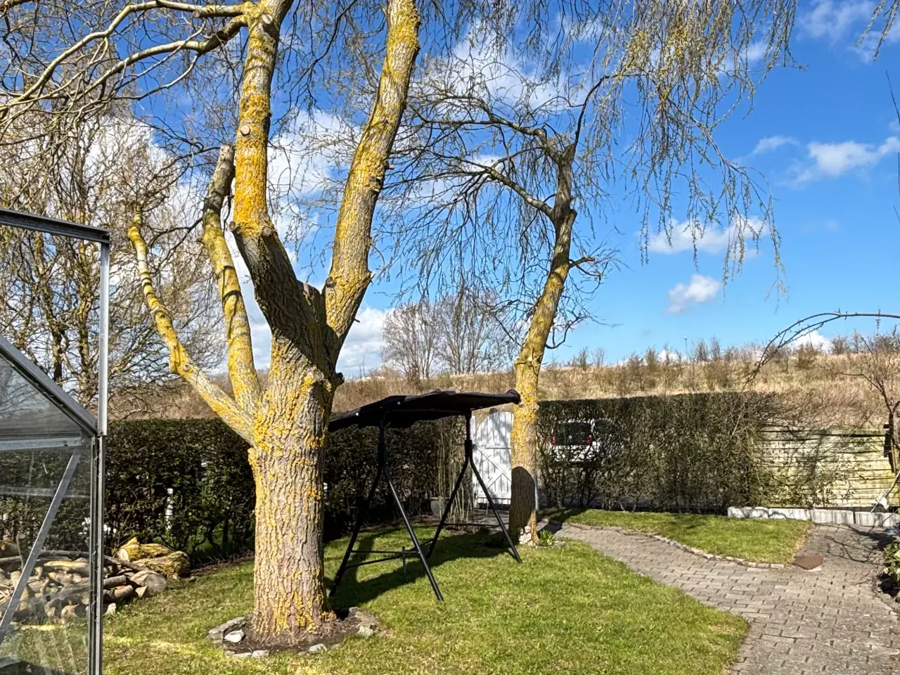 Billede 3 - Kolonihave i Odense sælges 