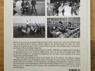 Odense bogen