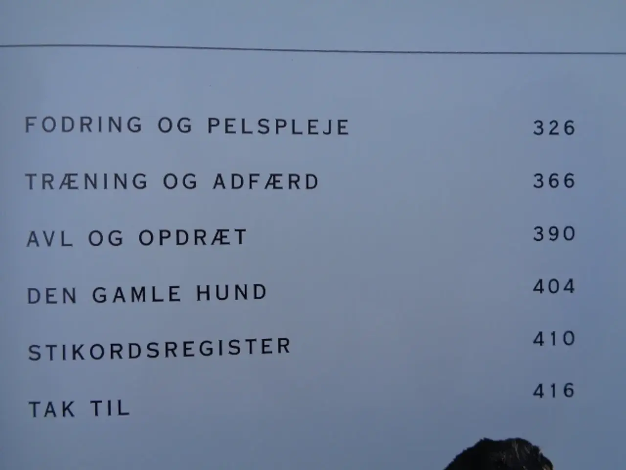 Billede 10 - Hunde