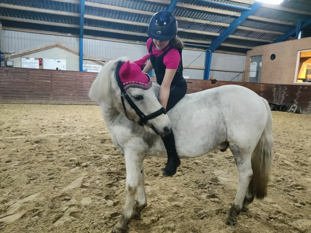 Billede 15 - Allround pony, en ny bedste ven