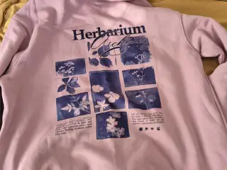 Nye hoodies