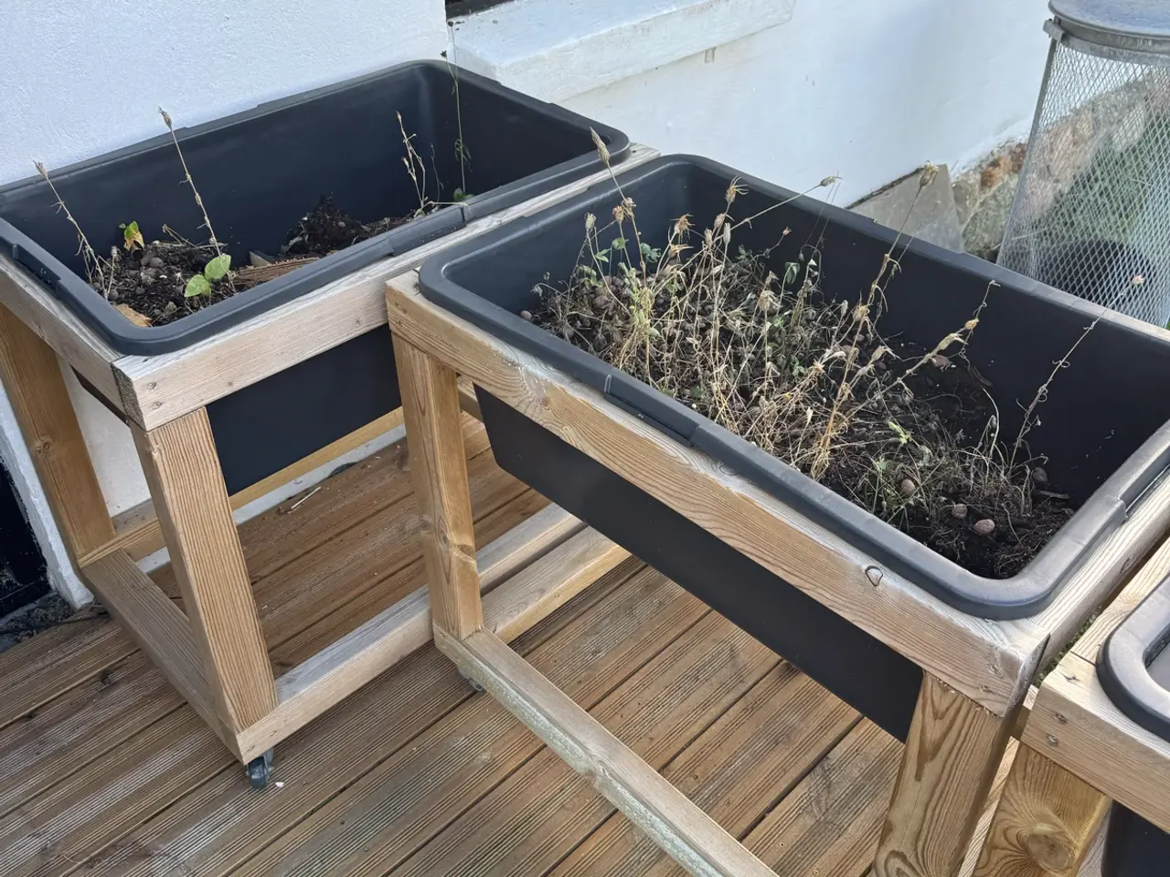 Billede 2 - Plantekasser gratis