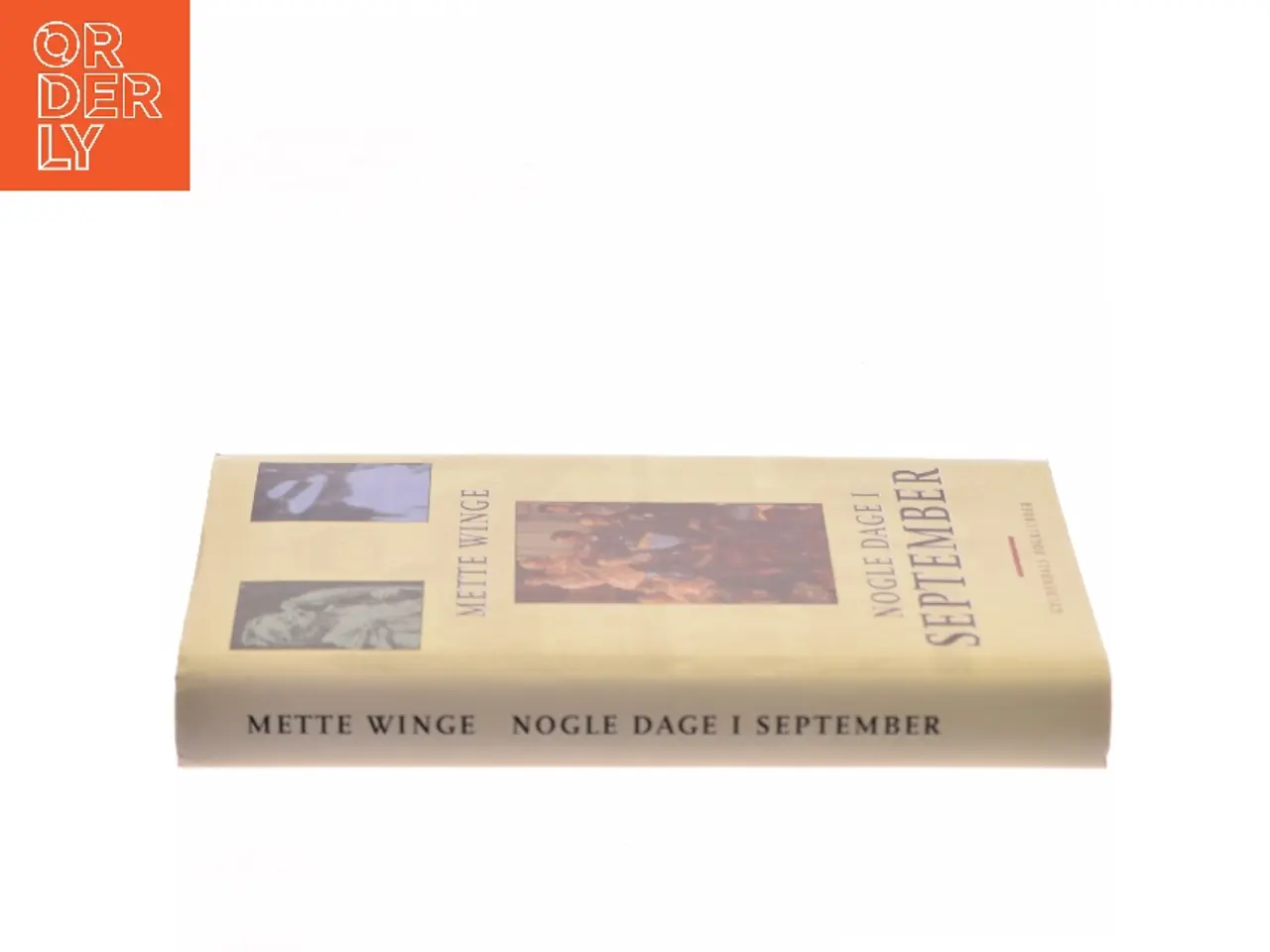 Billede 2 - Nogle dage i september : en familieroman af Mette Winge (Bog)