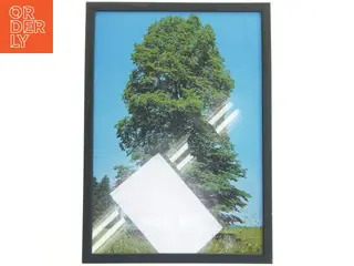 Billederamme med træmotiv fra Posterland (str. 32x44 cm)
