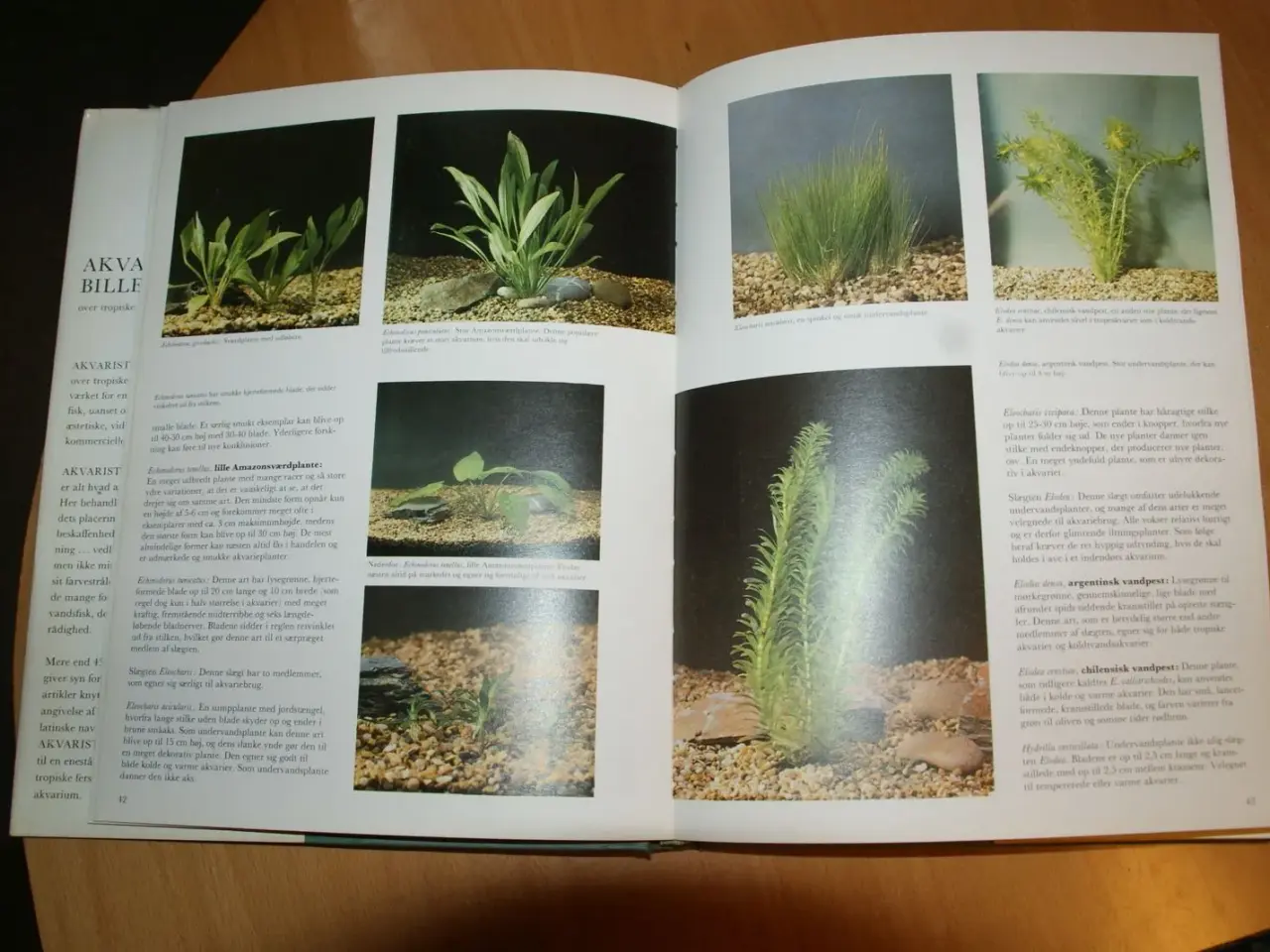 Billede 3 - Akvaristens Billedhåndbog