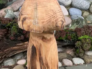 PADDEHAT / TRÆSVAMP - Ny pris