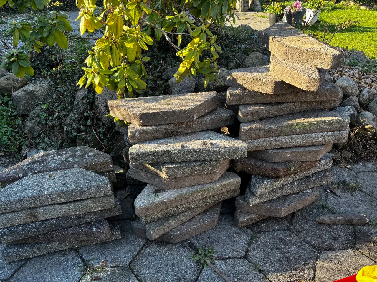 Billede 1 - Brudplantesten 40 stk