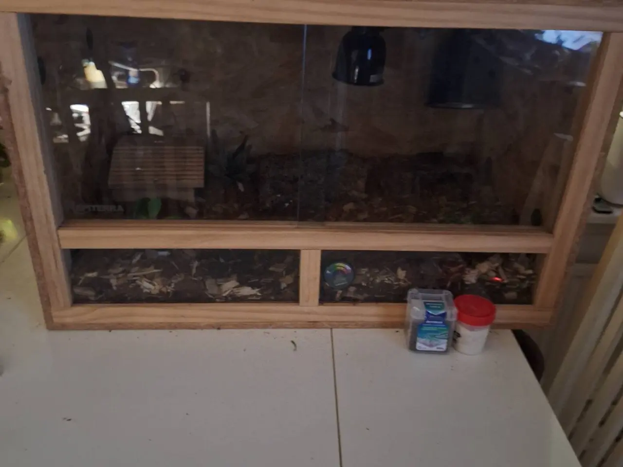 Billede 1 - Terrarium