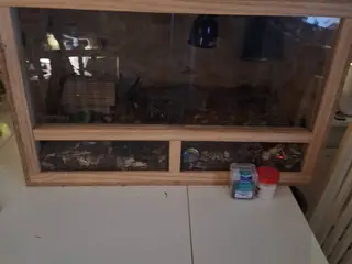 Terrarium