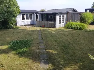 Kolonihave til salg, Randers NV - Bjergbyparken
