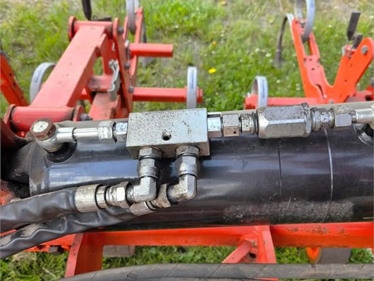 Billede 10 - Maschio DSD-600 - radrenser / row cultivator 12 m