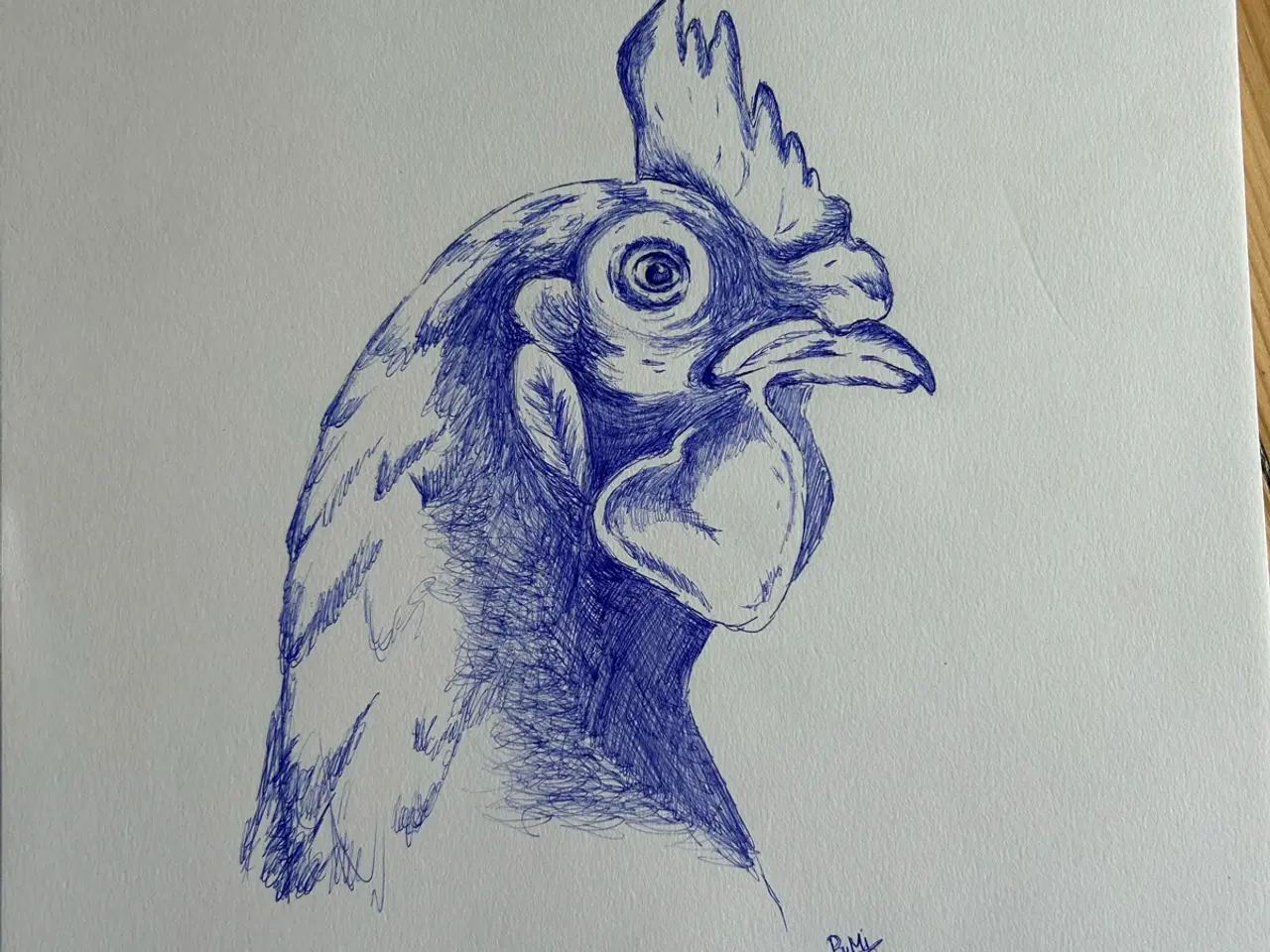 Billede 1 - Ballpoint art piece on A3
