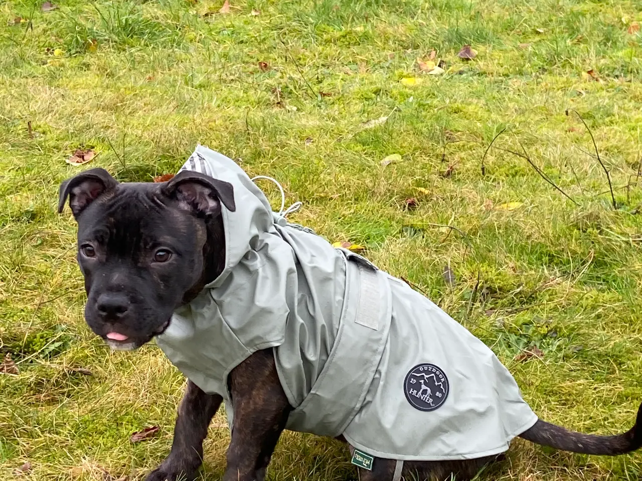 Billede 3 - Hunde regnjakke 