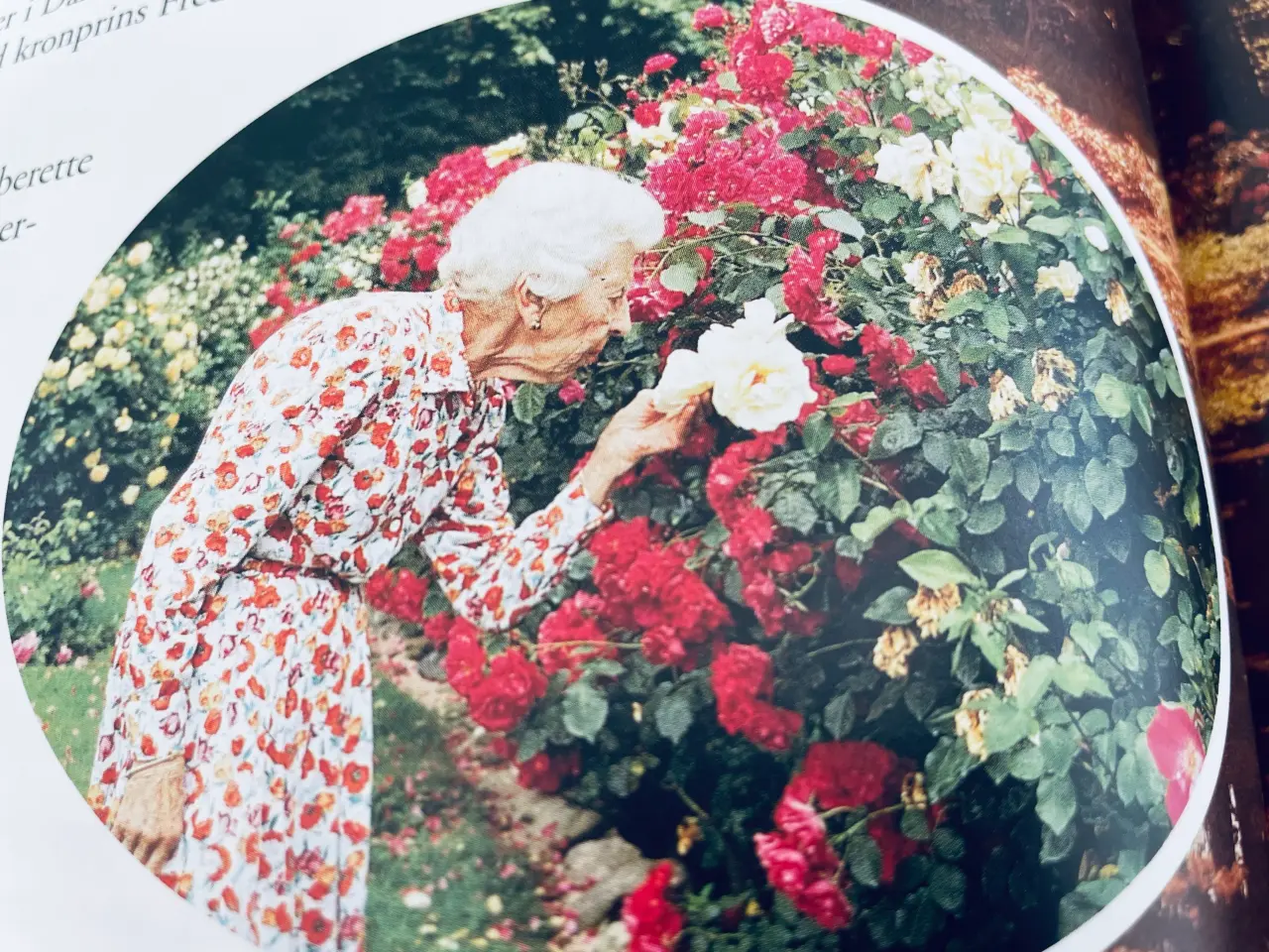 Billede 4 - Dronning Ingrid