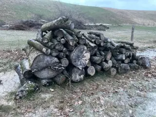 Brænde, løvtræ