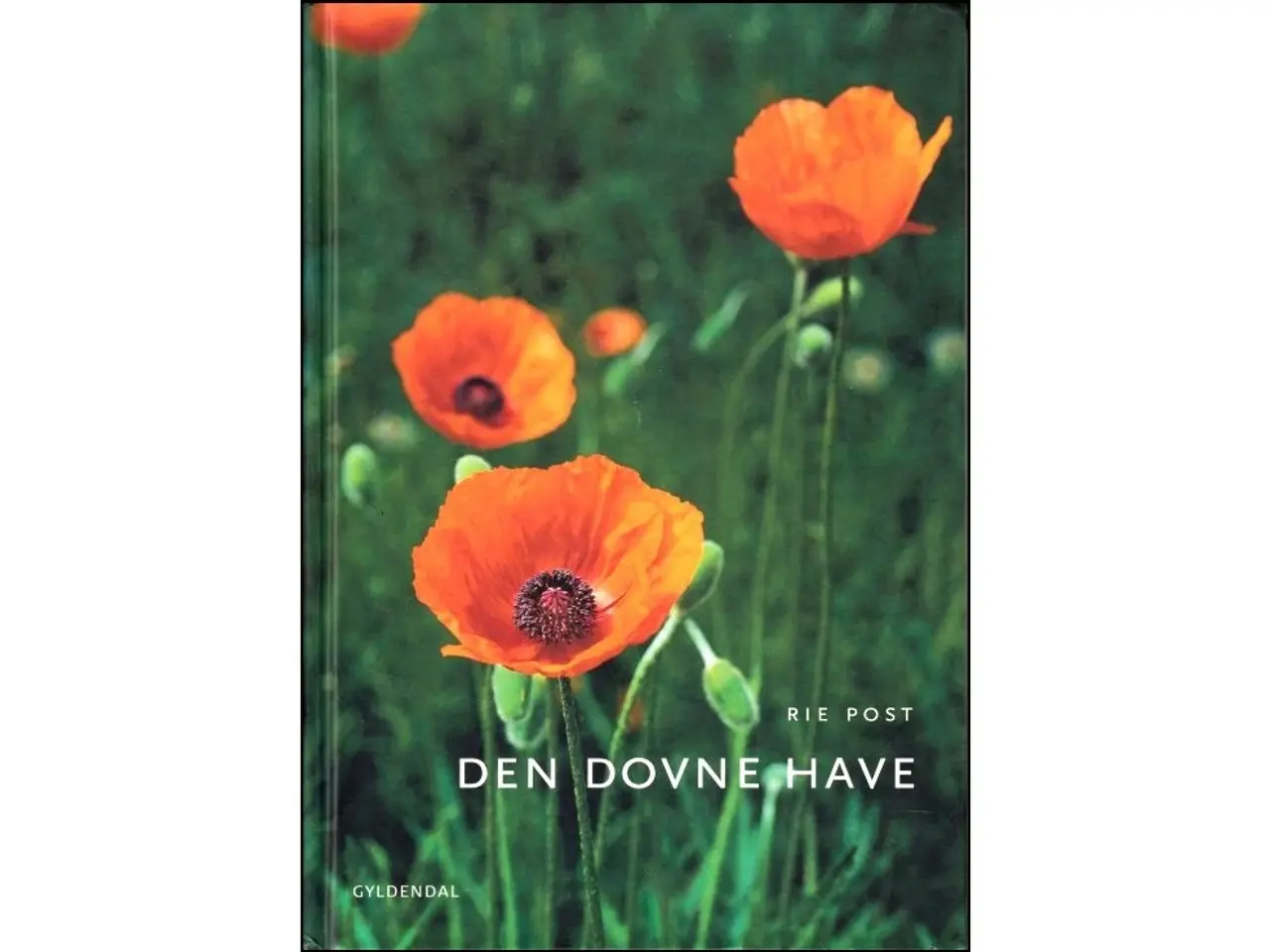 Billede 1 - Den dovne Have